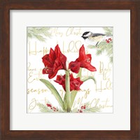 Framed 'Merry Amaryllis I' border=