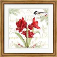 Framed 'Merry Amaryllis I' border=