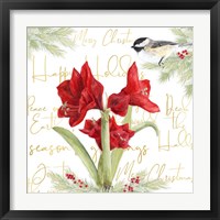 Framed 'Merry Amaryllis I' border=