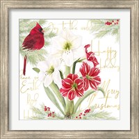 Framed 'Merry Amaryllis II' border=