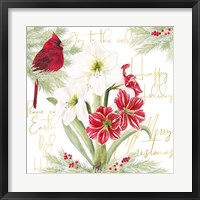 Merry Amaryllis II Framed Print