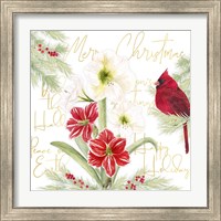 Framed 'Merry Amaryllis III' border=