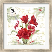 Framed 'Merry Amaryllis IV' border=