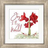 Framed 'Merry Amaryllis V' border=