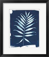 Nature By The Lake - Frond I Framed Print