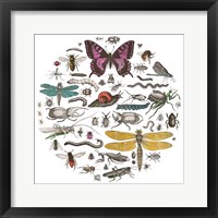 Framed 'Insect Circle II Bright v2' border=