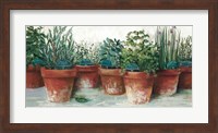 Framed Pots of Herbs II White