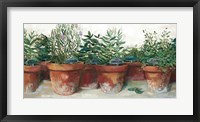 Framed Pots of Herbs I White