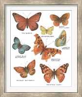 Framed 'Botanical Butterflies Postcard IV White' border=