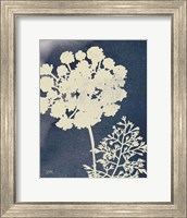 Framed Dark Blue Sky Garden IV