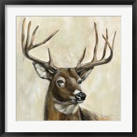 Framed Bronze Deer