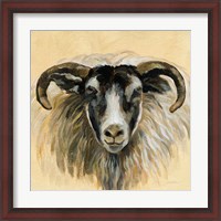 Framed 'Highland Animal Ram' border=