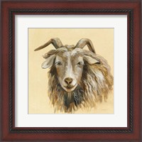 Framed 'Highland Animal Sheep' border=