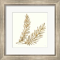 Framed 'Gilded Fern IV' border=