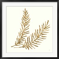 Framed Gilded Fern IV