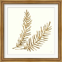 Framed 'Gilded Fern IV' border=