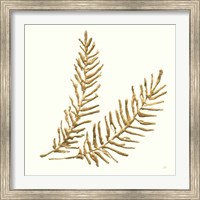 Framed 'Gilded Fern IV' border=