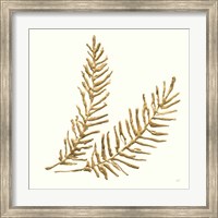 Framed 'Gilded Fern IV' border=