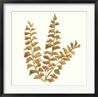 Gilded Fern III Framed Print