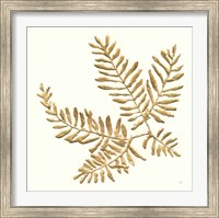 Framed 'Gilded Fern II' border=