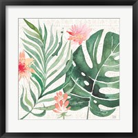 Paradise Petals III Framed Print