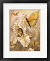 Framed Flower & Butterflies I