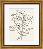 Framed 'Olive Branch Contour II' border=