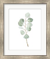 Framed Soft Eucalyptus Branch III
