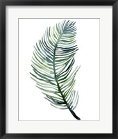 Watercolor Palm Leaves III Framed Print