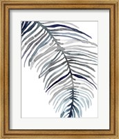 Framed 'Blue Feathered Palm II' border=