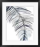 Framed 'Blue Feathered Palm II' border=