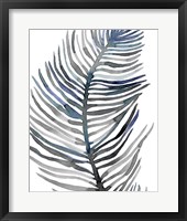 Framed 'Blue Feathered Palm III' border=