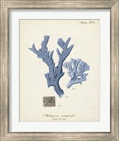 Framed 'Antique Coral in Navy I' border=