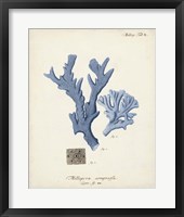 Antique Coral in Navy I Framed Print