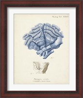 Framed 'Antique Coral in Navy II' border=