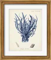 Framed 'Antique Coral in Navy V' border=