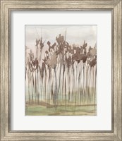 Framed 'Sienna Treeline II' border=