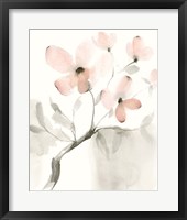 Dogwood Dream I Framed Print