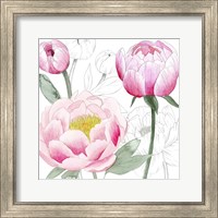 Framed 'May Peonies II' border=