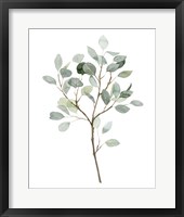 Seaglass Eucalyptus II Framed Print