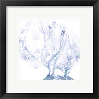 Framed 'Navy Sea Fan I' border=