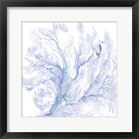 Framed 'Navy Sea Fan II' border=