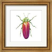 Framed 'Buggin Out II' border=