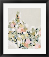 Framed 'Blushing Blooms II' border=