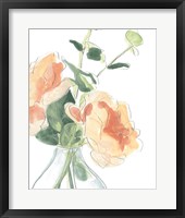 Framed Soft Posy Sketch IV