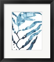 Framed 'Inkwash Kelp I' border=