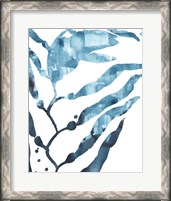 Framed 'Inkwash Kelp I' border=