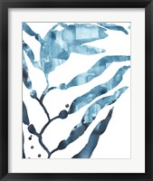 Framed 'Inkwash Kelp I' border=