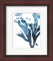 Framed 'Inkwash Kelp II' border=