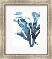 Framed 'Inkwash Kelp II' border=